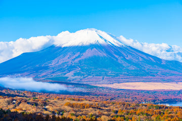 Mount Kilimanjaro — The Climb